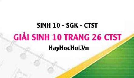 Giải Sinh 10 trang 26 Chân trời sáng tạo SGK